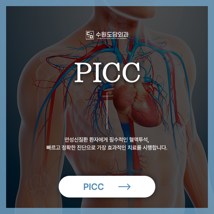 수원 PICC 말초동맥 도담외과